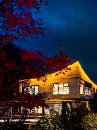 宜興神仙酒店！懸崖房+寵物友好！住到不想走