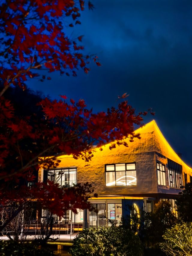 宜興神仙酒店！懸崖房+寵物友好！住到不想走