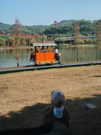 就在深圳超愛的免費寶藏遛娃地，超chill