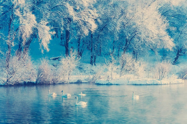 中國六大絕美雪景地!每一幀都美到窒息!快收藏! 吉林-長白山 長白山天池封凍期美得像仙境! 中國六大絕美雪景地!每一幀都美到窒息!快收藏! 吉林-長白山 長白山天池封凍期美得像仙境!