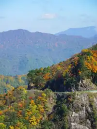 赴光霧山,收藏秋季限定浪漫