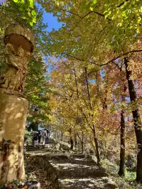今日實況,指南村的楓葉紅了