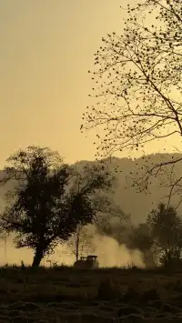 晨霧繚繞的皖南秋色太值得一看了