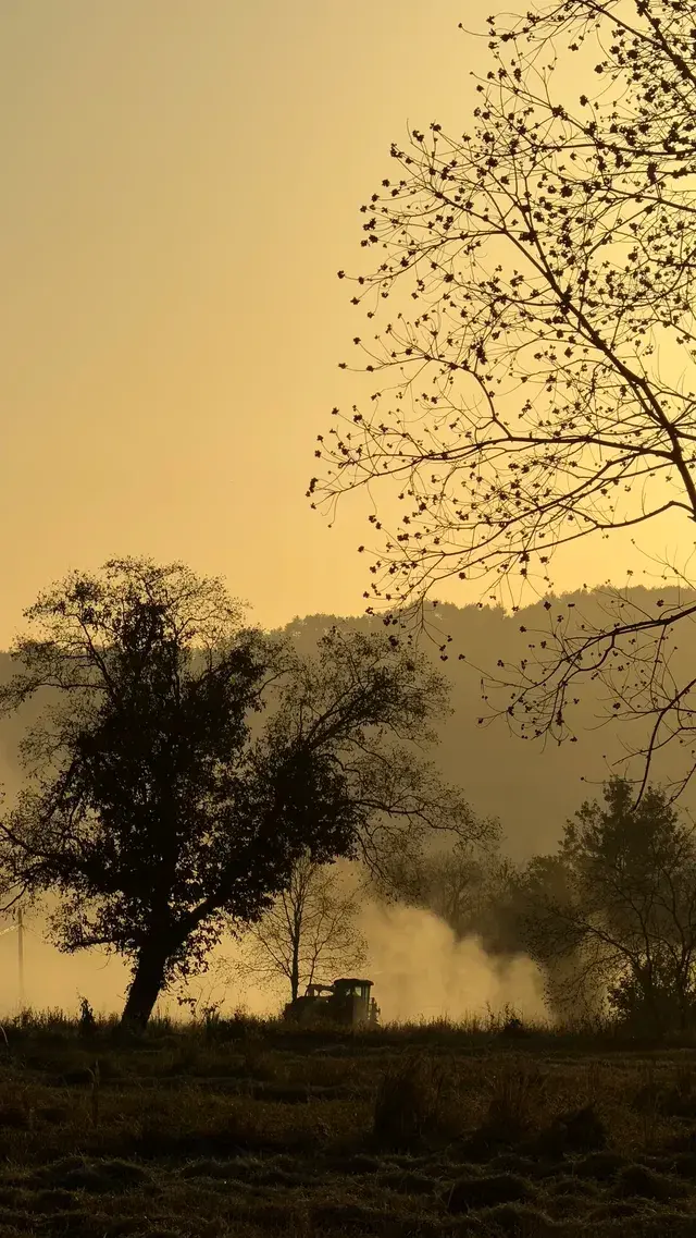 晨霧繚繞的皖南秋色太值得一看了 晨霧繚繞的皖南秋色太值得一看了