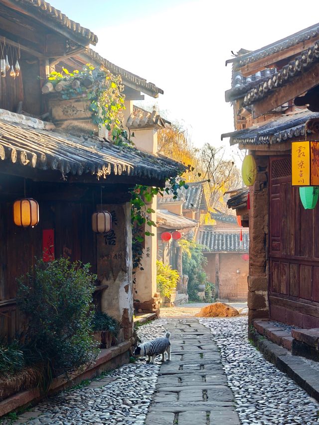 沙溪 | 走進東方水墨畫般的冬日晨霧