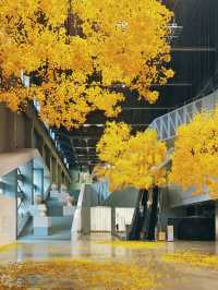 第15屆上海雙年展全攻略90%人會漏的隱藏作品+高光必看