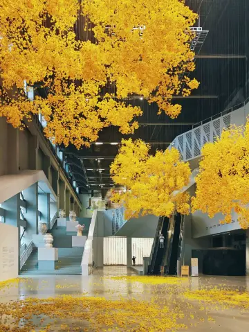 Complete Guide to the 15th Shanghai Biennale: Hidden Works Missed by 90% + Must-See Highlights