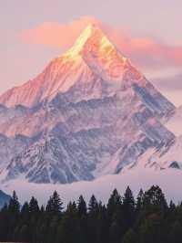 拉薩反套路攻略避開人潮還能躺贏高反