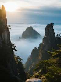 鼎湖山親子避暑攻略帶娃解鎖森林瀑布 清涼一夏