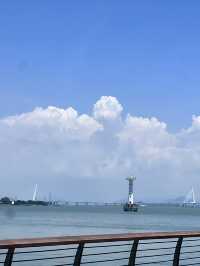 避開人擠人深圳灣親子騎行攻略,新手友好