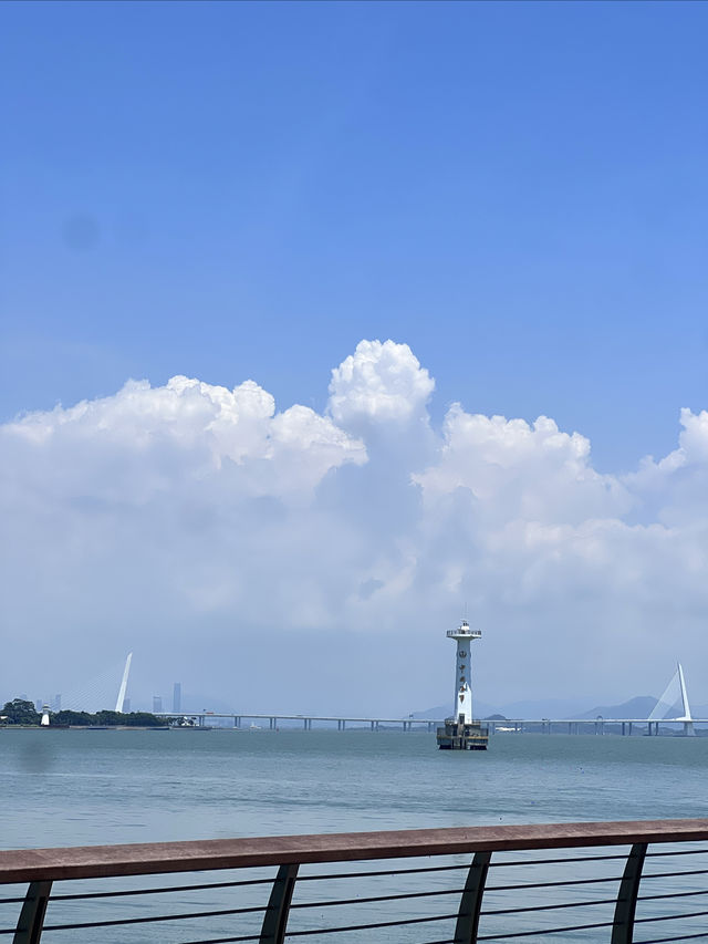 避開人擠人深圳灣親子騎行攻略,新手友好 避開人擠人深圳灣親子騎行攻略,新手友好