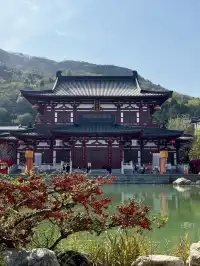 又是做大自然小孩的一天…