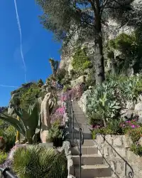 埃茲‖法國蔚藍海岸中世紀懸崖小鎮