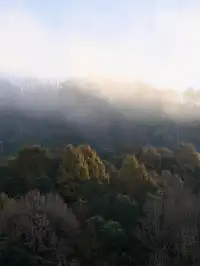 徽州古城+瞻淇魚燈+深渡晨霧