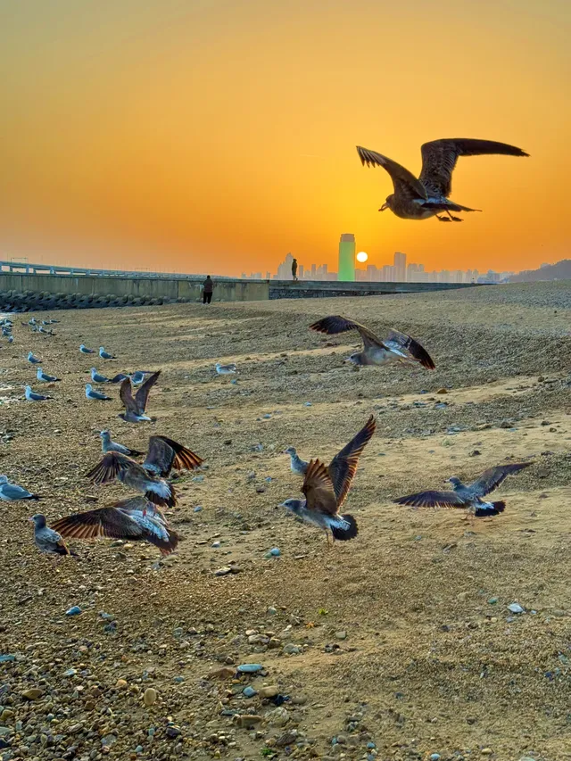 南寧-大連3天2夜浪漫出片攻略！！！