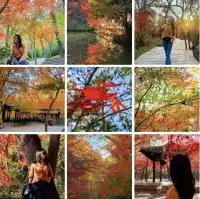 11.29日棲霞山實拍