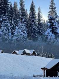 冬日必去滑雪勝地｜新疆禾木旅遊攻略  還在尋找夢想中的冬日仙境嗎？新疆的禾木，就是一個被白雪擁抱的童