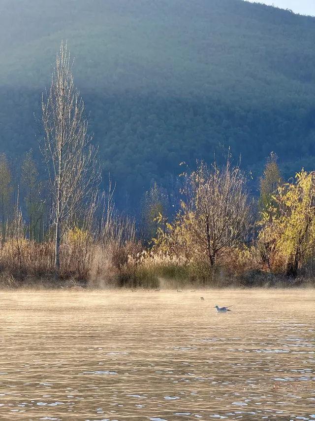 兩次瀘沽湖|寫給想慢下來的人。 兩次瀘沽湖|寫給想慢下來的人。