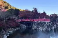 大阪勝尾寺夜間點燈絕美!跟白天完全不同