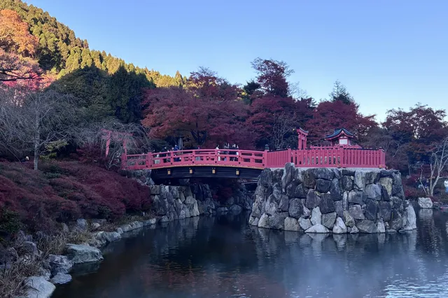 大阪勝尾寺夜間點燈絕美!跟白天完全不同 大阪勝尾寺夜間點燈絕美!跟白天完全不同