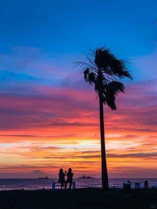 Unlock the hidden Boso Peninsula loved by the Japanese in just 1 day