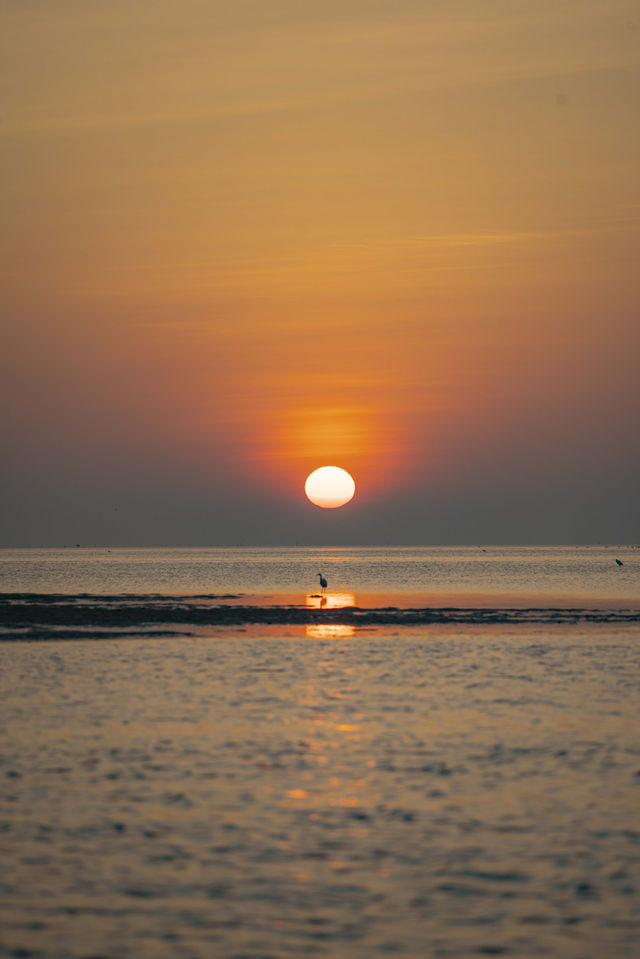 凌晨5點的北海銀灘，承包整片橘子海浪漫