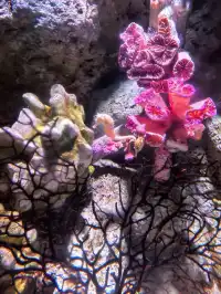 長風海洋公園遛娃記 | 海底奇幻之旅