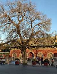 金秋銀杏下的千年古寺