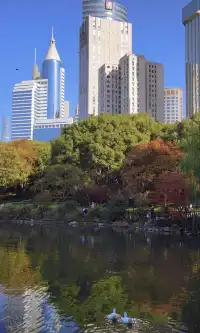 上海市中心兩小時賞秋路線