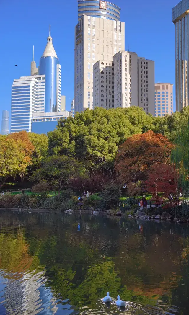 上海市中心兩小時賞秋路線