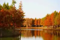 李成帶兵攻打到合肥來了