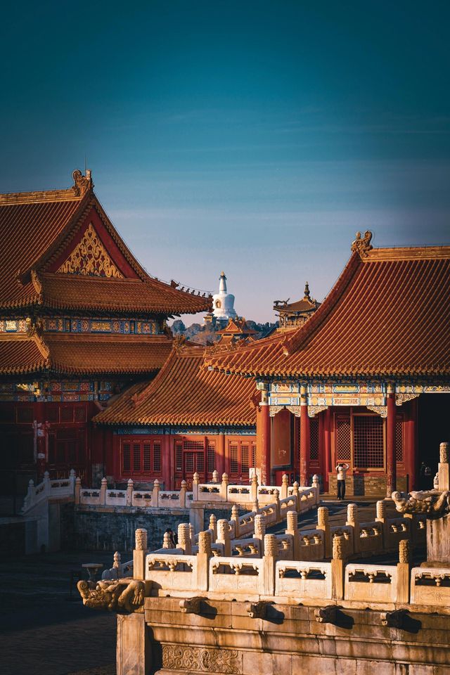 冬天的故宮有點蕭瑟，但很高級！