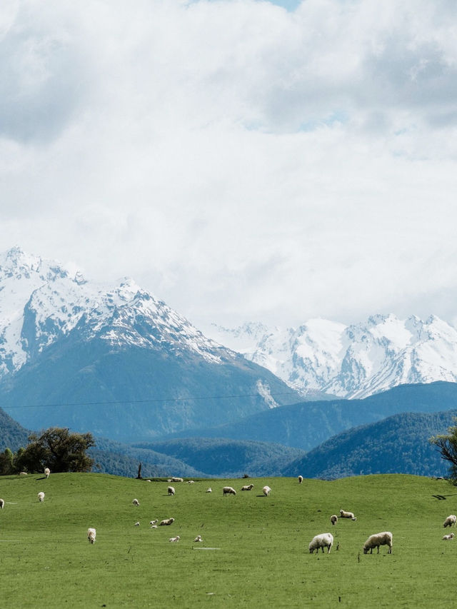 自由行紐西蘭！中文包車定制可辦簽證