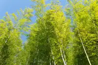 暴走村杭州站初體驗!一日遊塔川!