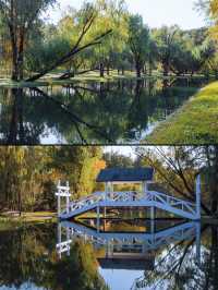 魔都秋日私藏共青森林的治癒漫遊手記