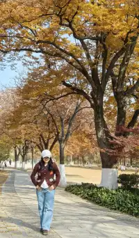 愛上金陵的秋(五)