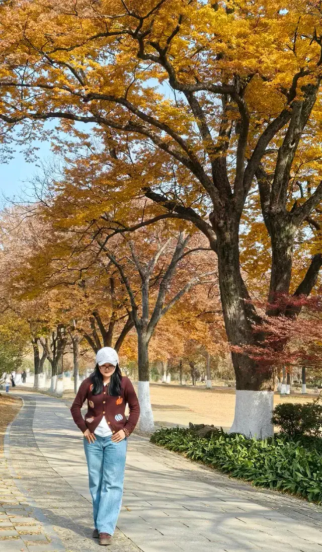 愛上金陵的秋(五) 愛上金陵的秋(五)