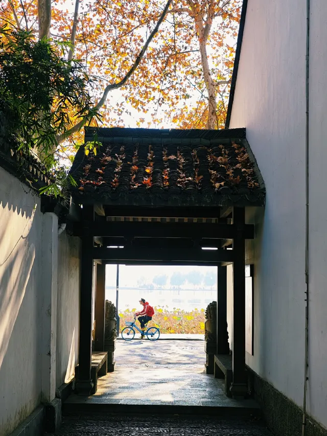 杭州紅楓反向線|3h拍爆西湖秋景~ 杭州紅楓反向線|3h拍爆西湖秋景~