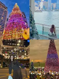 香港8小時拍完漂亮聖誕樹(挑戰成功版!)