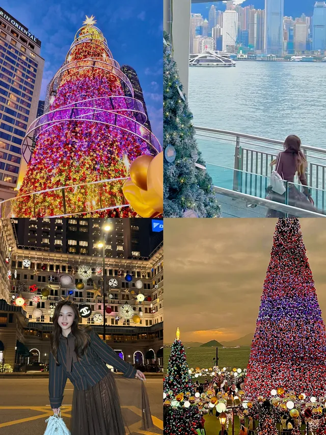 香港8小時拍完漂亮聖誕樹(挑戰成功版!) 香港8小時拍完漂亮聖誕樹(挑戰成功版!)