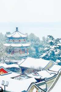 初雪降臨，北平秒變童話世界，你打卡了嗎