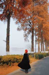 武漢東湖最美步道!!封神了好嘛!!巨美