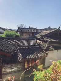 又是一年了,好好和2025告別吧!