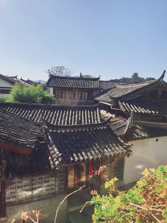 又是一年了,好好和2025告別吧! 又是一年了,好好和2025告別吧!