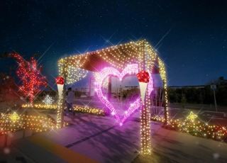 Sennan Rinku Park Winter Light Show
