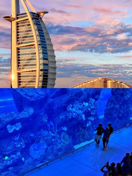 アトランティス(レッド、ゴールドとチョコレート)または(アイボリー、レッドとブラック)豪華8ピース布団セット 布団 ベッドスカート ピローシャム 装飾並行輸入 アトランティス(レッド、ゴールドとチョコレート)または(アイボリー、レッドとブラック)豪華8ピース布団セット 布団 ベッドスカート ピローシャム 装飾並行輸入