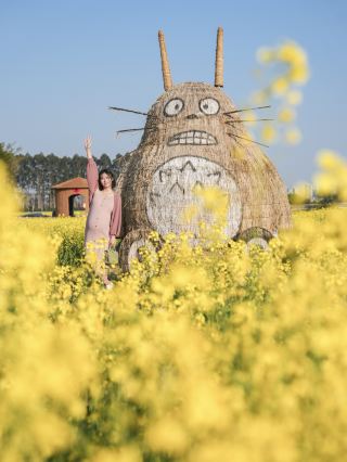 浙江の小さな町がすごすぎて、うっかり菜の花の春に迷い込んじゃった