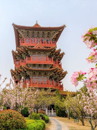 청명 특집 6일간 카이펑-정저우-뤄양 완전 정복