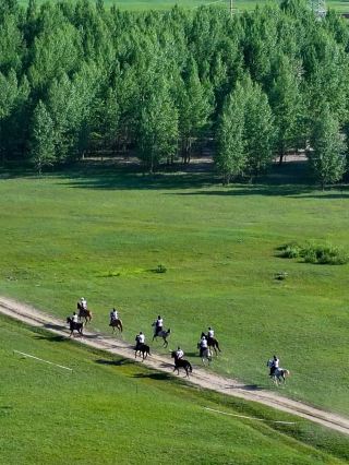 May Day Around Beijing｜Escape the Crowds, Relax on the Grassland