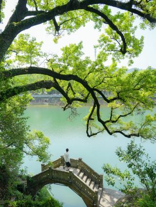Thought Hangzhou was beautiful enough, until I went to this part of Zhejiang